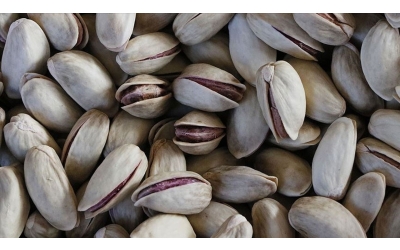 Antep fıstığı yatırım aracı oldu