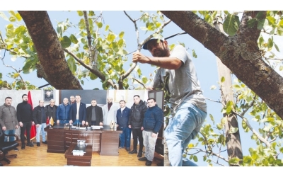 Barak Ovası’na su gelmezse tüm fıstık ağaçları kuruyacak