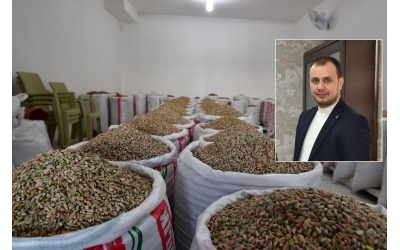 Antepfıstığının kilosu 600TL’yi ulaştı... BÜYÜK OYUN!