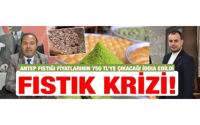 Antep Fıstığı fiyatlarının 750 TL’ye çıkacağı iddia edildi...FISTIK KRİZİ!